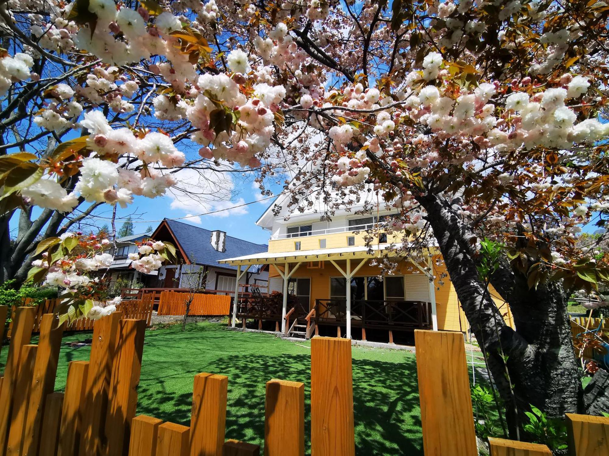 100泊で完成する民泊 Holiday home *
